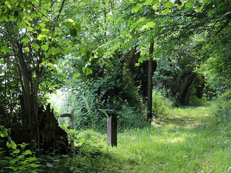 Le Coteau de la Butte | © JE Rubio