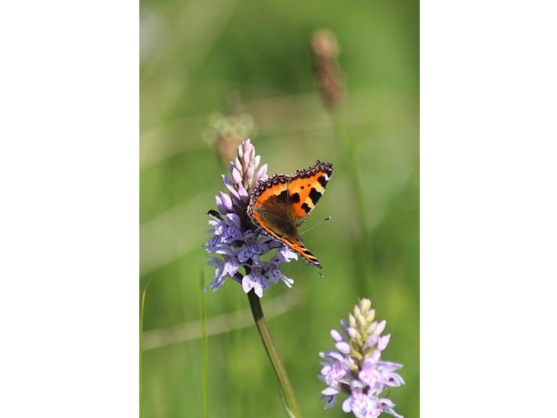 Le Coteau de la Butte | © JE Rubio