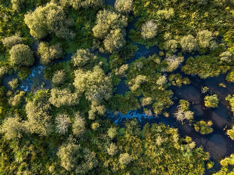 Marais du Grand Hazé | © D. Commenchal