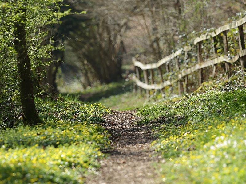 Le Camp de Bierre | Le Camp de Bierre © C Aubert