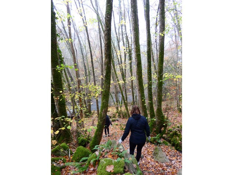 Gorges de la Rouvre - St Philbert sur Orne | ©Site de la Roche d'Oëtre