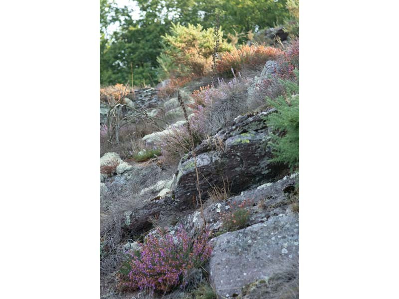 La Roche d'Oëtre - St Philbert sur Orne | ©David Commenchal