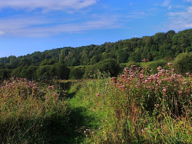 Les prairies de Campigny | © JE Rubio