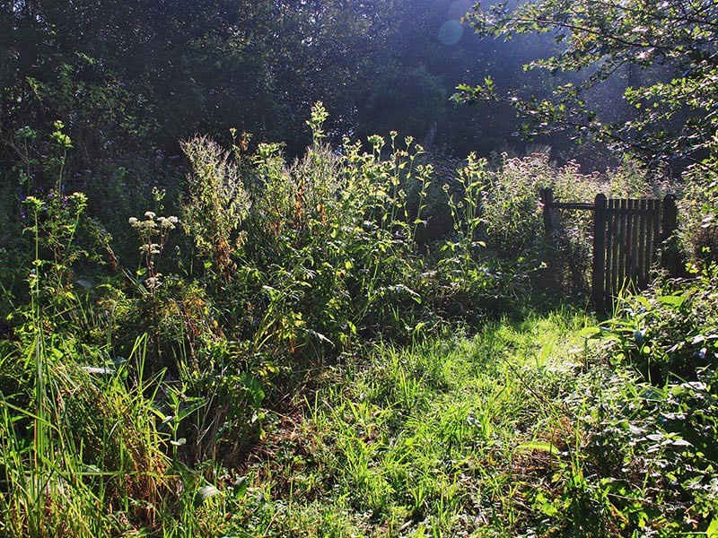 Les prairies de Campigny | © JE Rubio