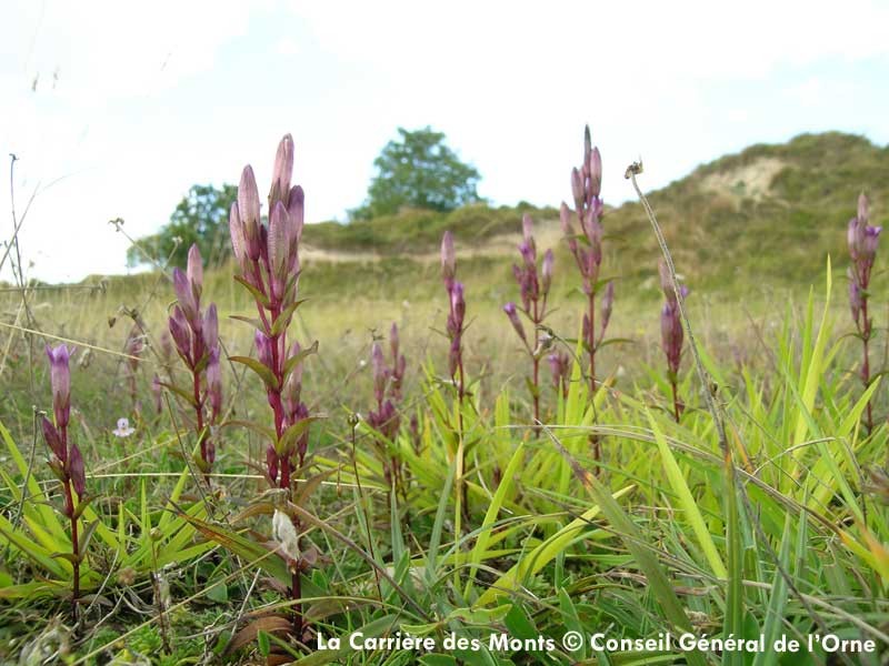 La Carrière des Monts | © Conseil Général de l'Orne