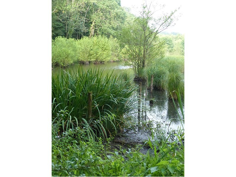 Etang du Perron | © CD 61