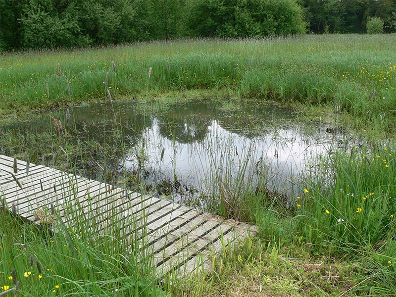 Etang du Perron | © CD 61