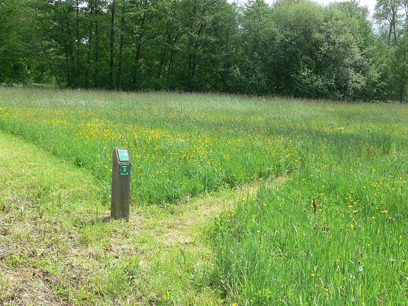 Chemin de Etang du Perron | © CD 61