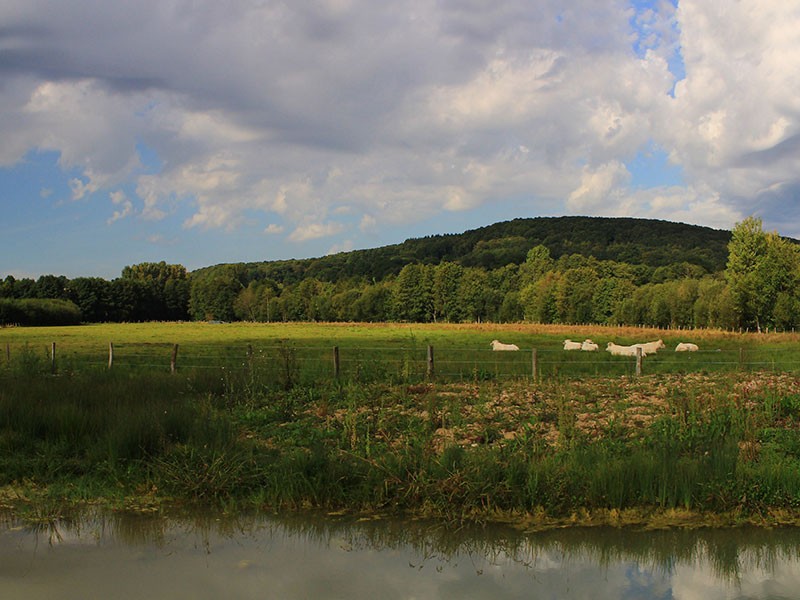 Vallée et marais de Bretoncelles dans l'Orne en Normandie | Vallée et marais de Bretoncelles © JE Rubio