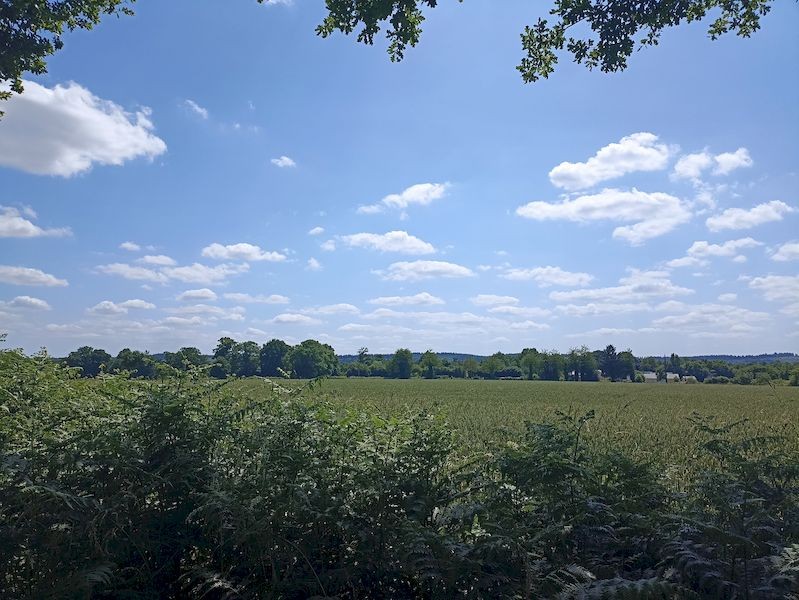 1 - IMG_20250617_150615-800 | MNT