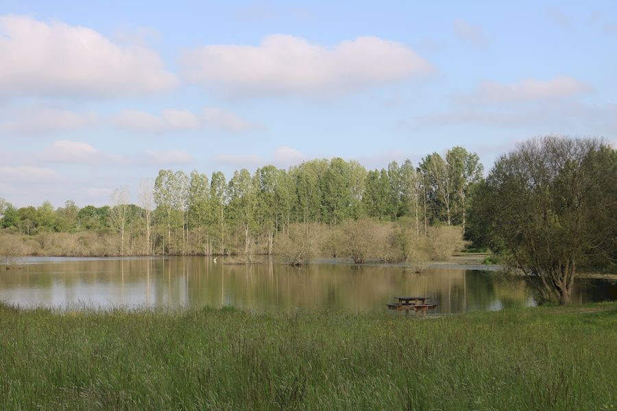 1 - Etang de l'Enclos (1)800 | MNT