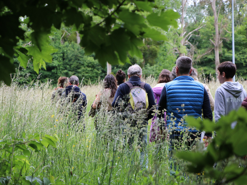 Briouze tourinsoft (800 x 600 px) - Balade poétique | F. Delalande