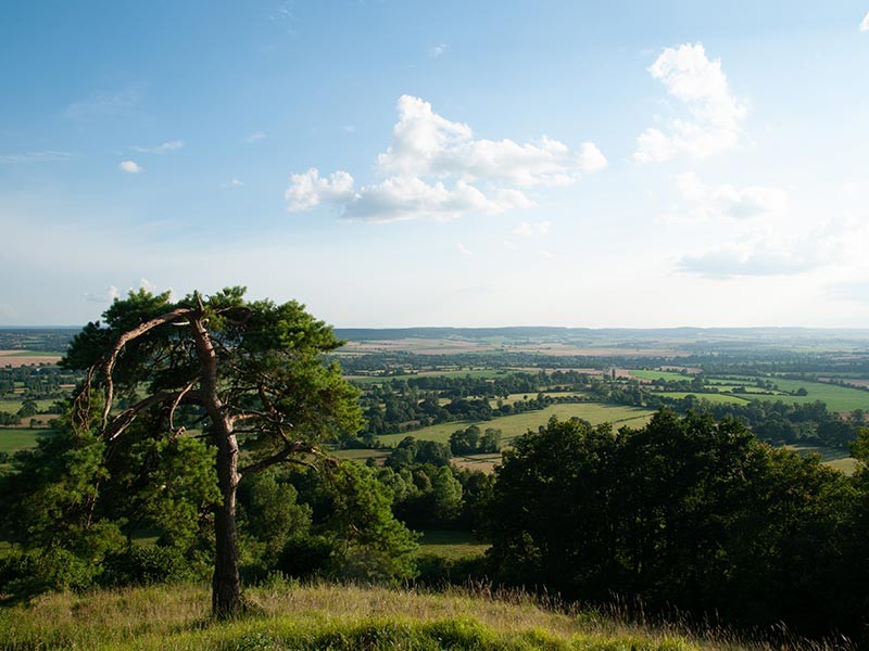 Les Coteaux Historiques | © D.Commenchal
