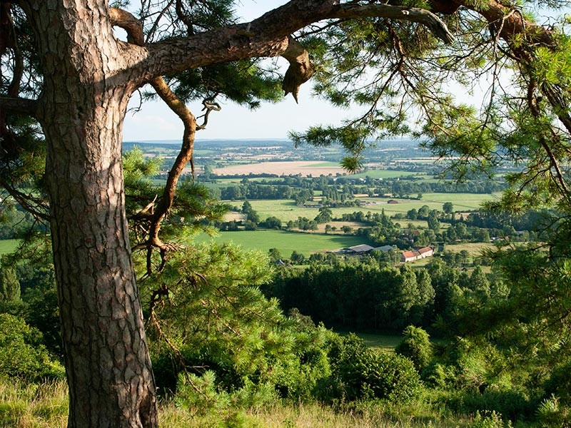 Les Coteaux Historiques | © D.Commenchal