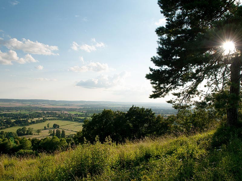 Les Coteaux Historiques | © D.Commenchal