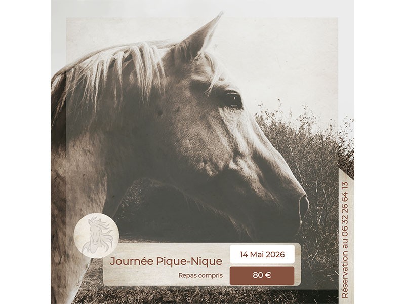 BAGOTSRANCH | BAGOT'S RANCH 