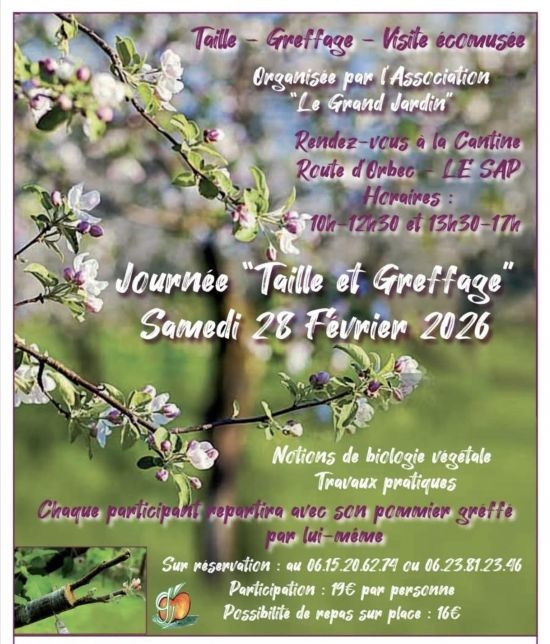 Atelier Greffage à Sap-en-Auge | Association Le Grand Jardin