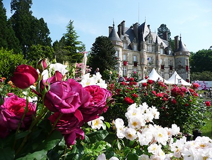 Château en fleurs | Destination Domfront Bagnoles