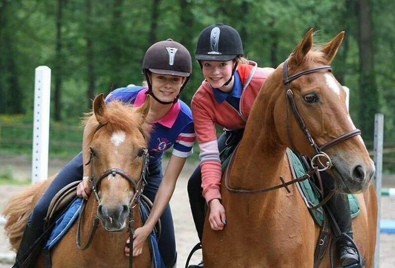 Club-hippique-Flers-800-800x543 | MNT