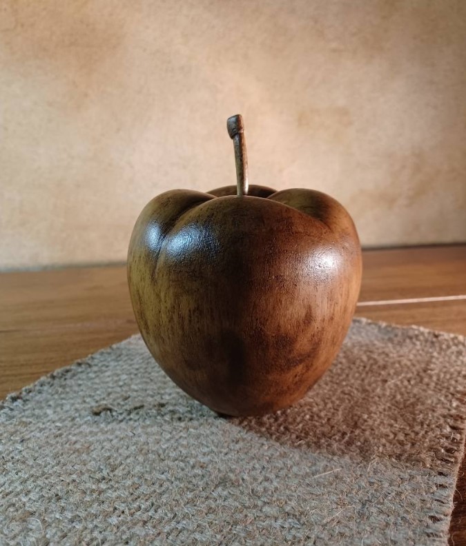 bois | médiathèque