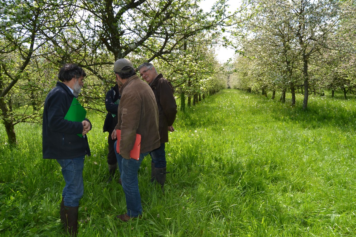 CHY_PNPR Auxiliaires Verger Form°22_05_13 035 | pnrp