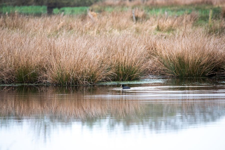 beagillot-MGH-2022--3- | Béa Gillot