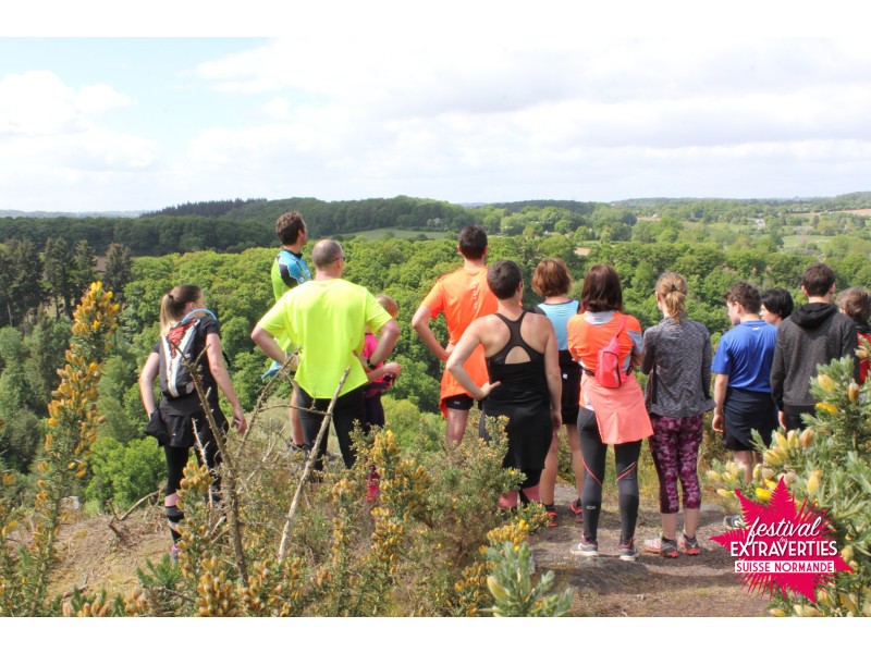 IMG_0308 web | Pays de Falaise