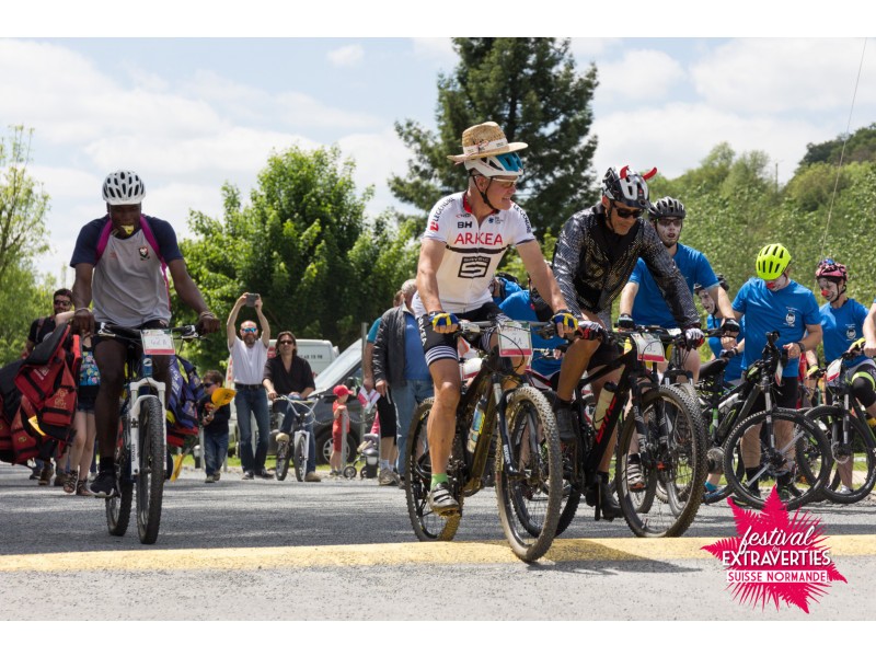 IMG_0361 web | Pays de Falaise