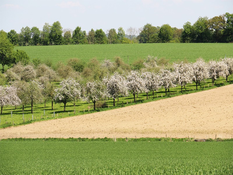 bagnoles-orne-manoir-durcet-ferme-calvados-terroir-savoir-faire-visite-cidre-pomme-champ-verger-campagne | Manoir de Durcet