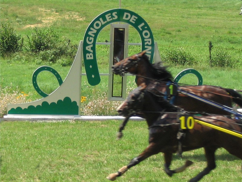 bagnoles_courses hippiques | Be bagnoles