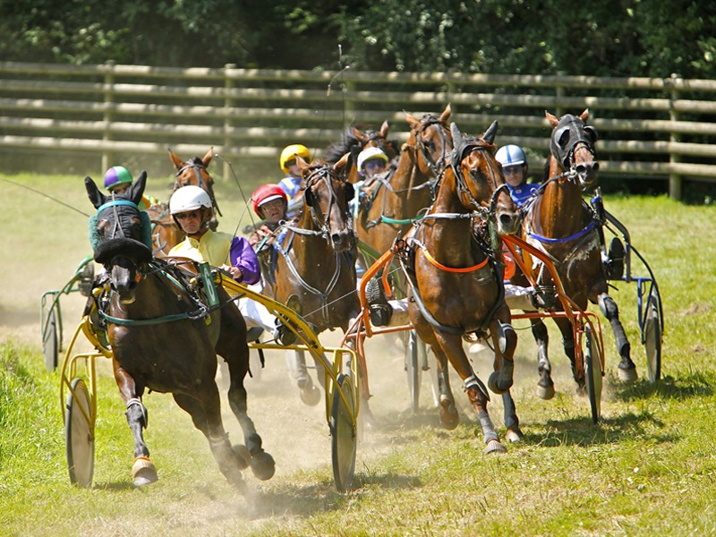 bagnoles_courses hippiques | courses