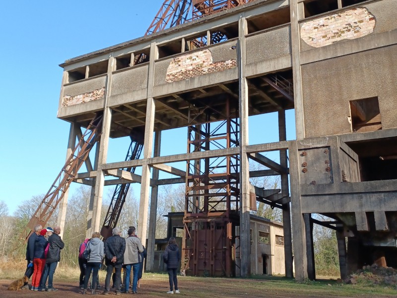 Rando guidée La mine en forêt de Halouze 800x600 | Michaël Herbulot