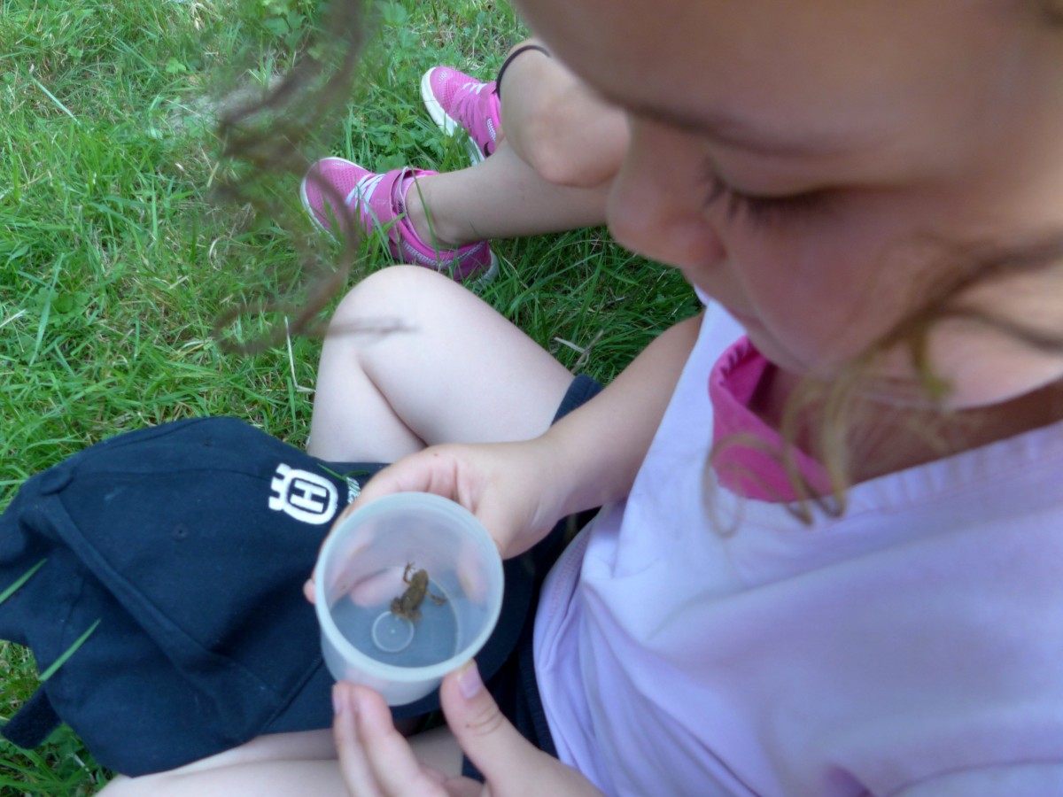 01_FB_14042026 | PNRNM