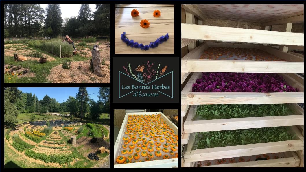 photo presentation | Laurine Simon 