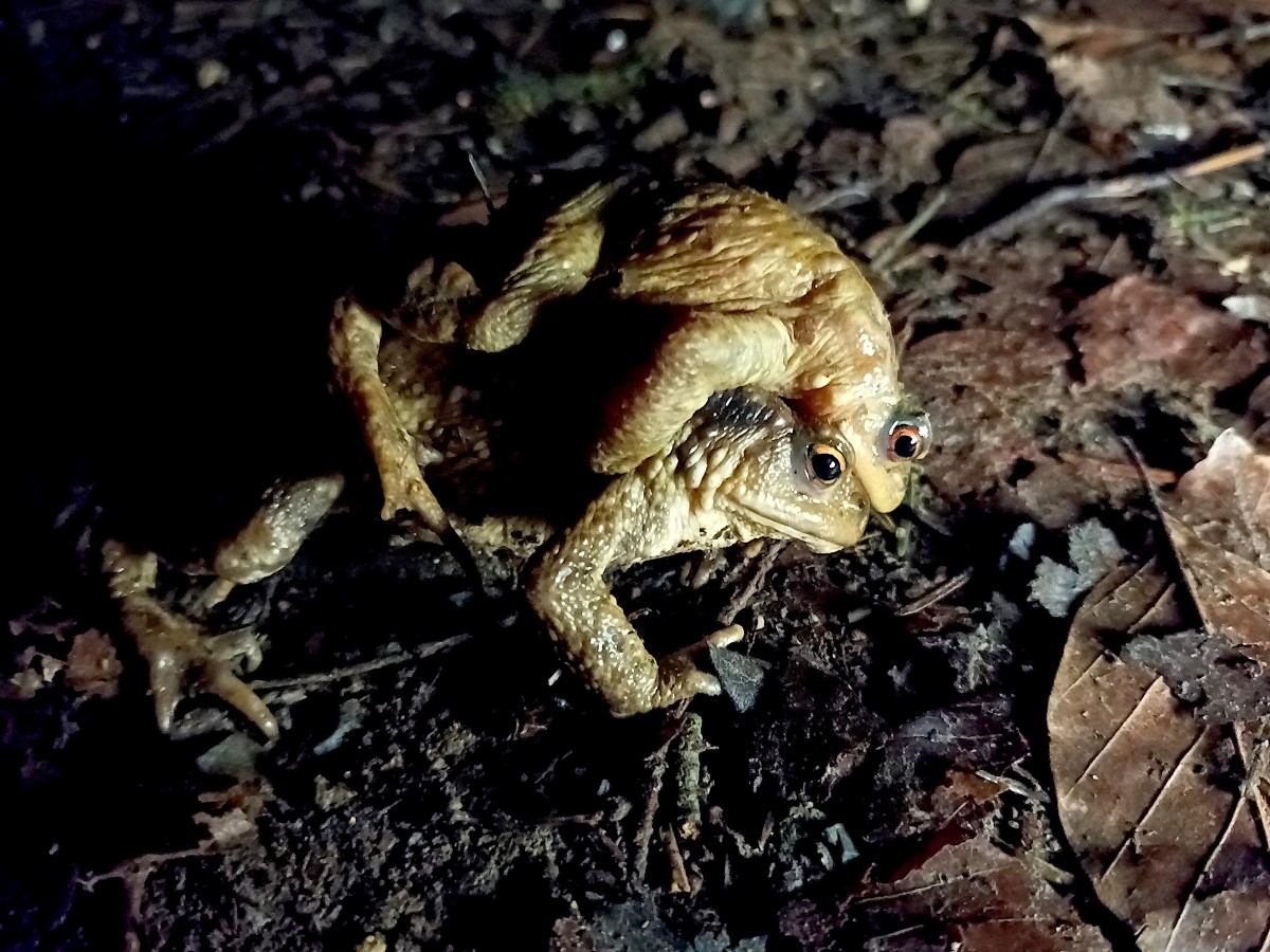 04_GV_23042026 | PNRNM