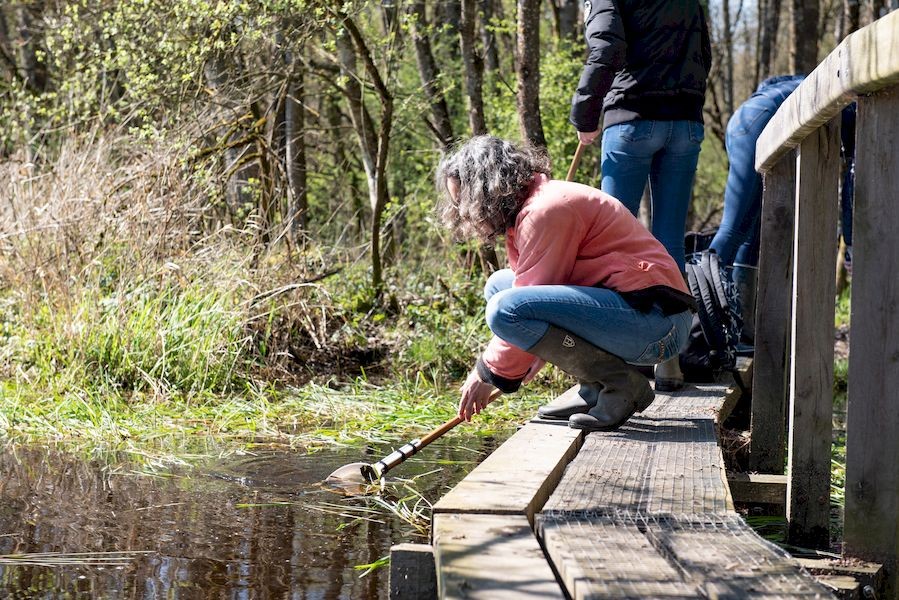 MGH-beagillot-16-2 | beagillot