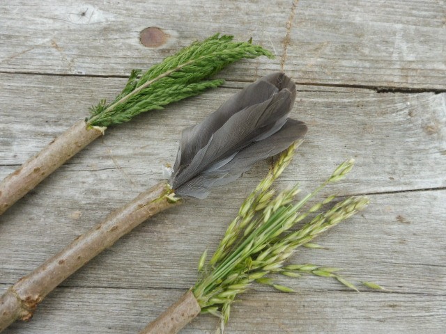 2026.06.13_Nature_peinture_credit_Bourrache_et_Coquelicot | Bourache et coquelicot 