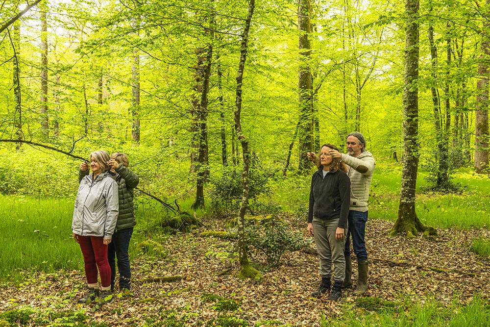 Sylvothérapie en forêt de Crécy, Bettina Lanchais, Festival de l'Oiseau | Stéphane BOUILLAND