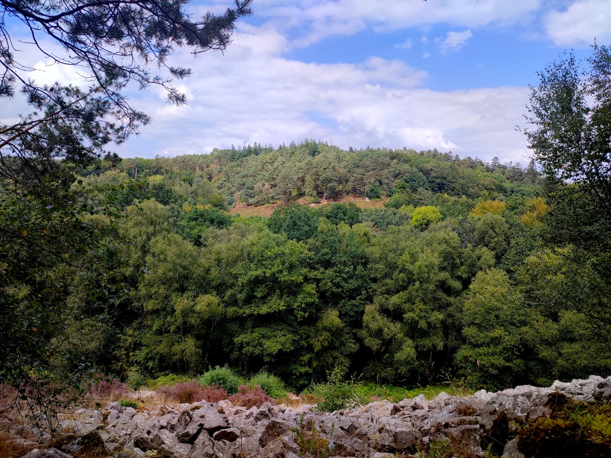 09_GV_13072026 | PNRNM