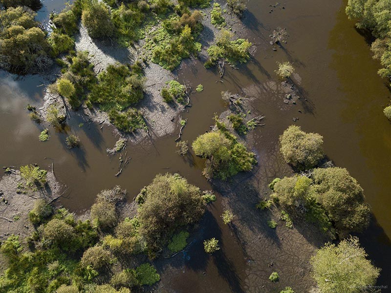 Marais du Grand Hazé | © D. Commenchal