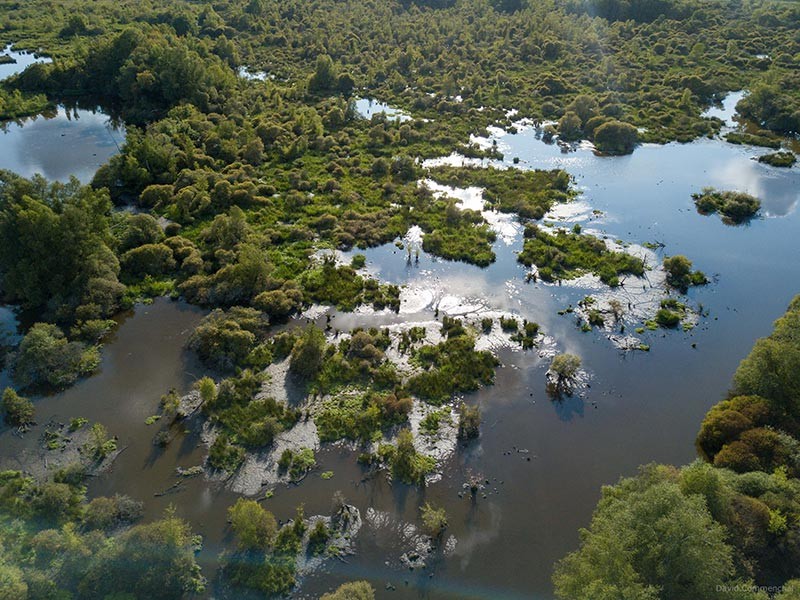 Marais du Grand Hazé | © D. Commenchal