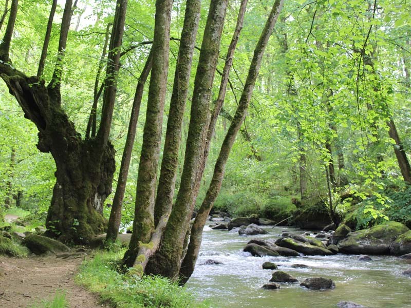 Gorges de la Rouvre - St Philbert sur Orne | ©Site de la Roche d'Oëtre