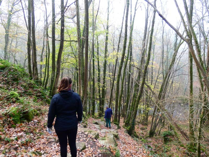 Gorges de la Rouvre - St Philbert sur Orne | ©Site de la Roche d'Oëtre