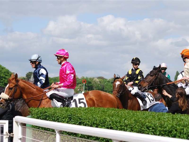 Courses hippiques - Haras national du Pin | ©Jean Chevret