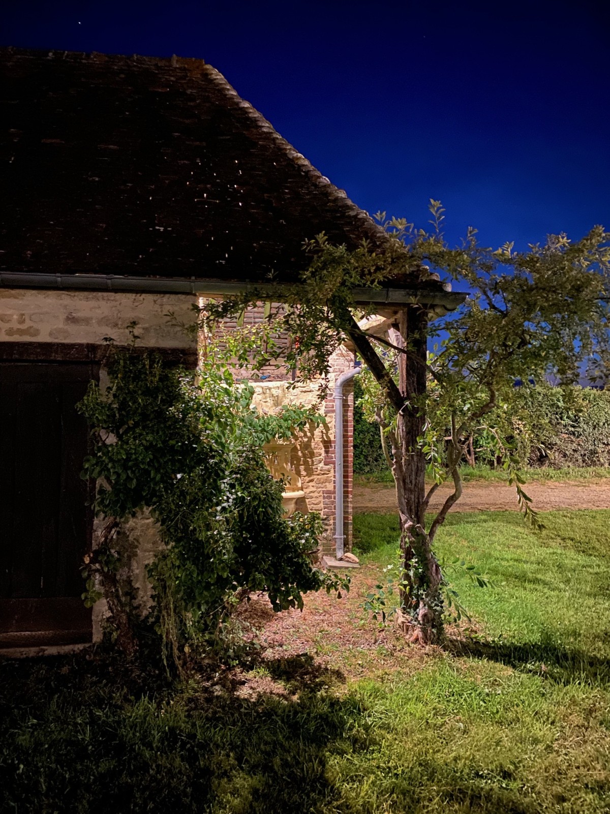 1F6144E0-5C88-42A4-BB2E-6F57D1A90607 | Nicolas Duclos