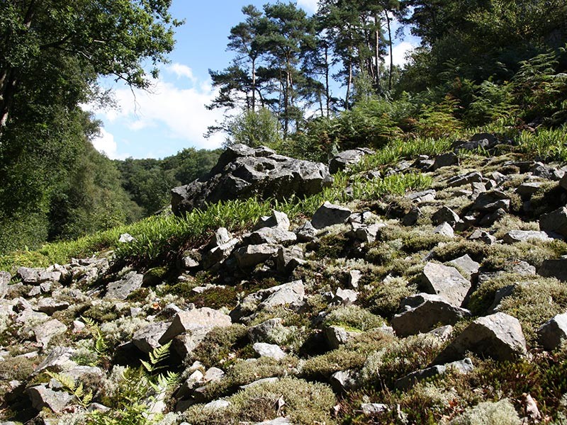 Pierrier Gorges de Villiers | © CD 61