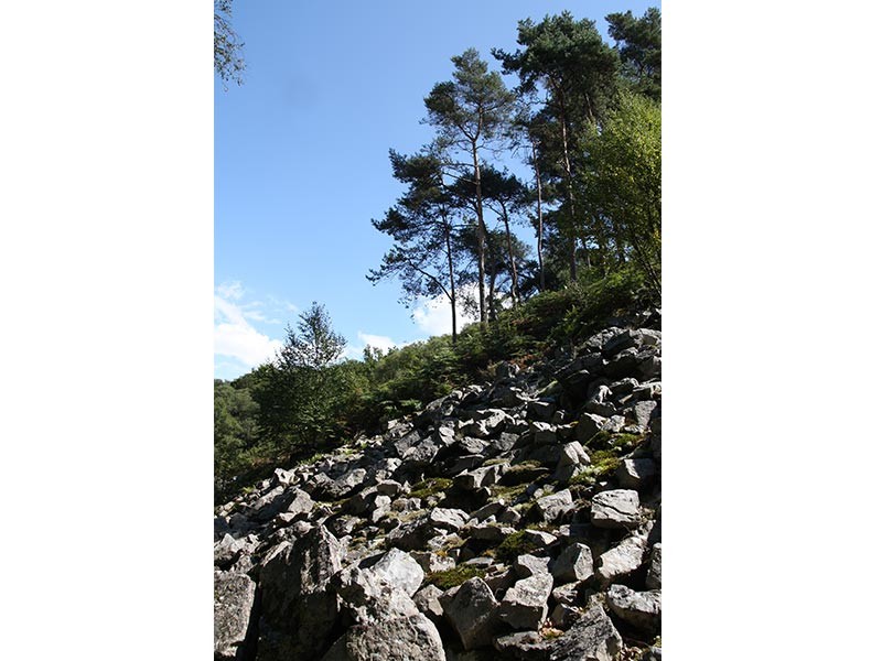 Pierrier Gorges de Villiers | © CD 61