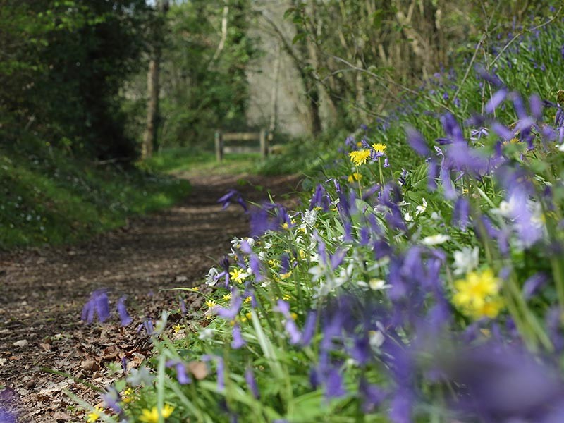 Les Méandres de l'Orne | © C Aubert