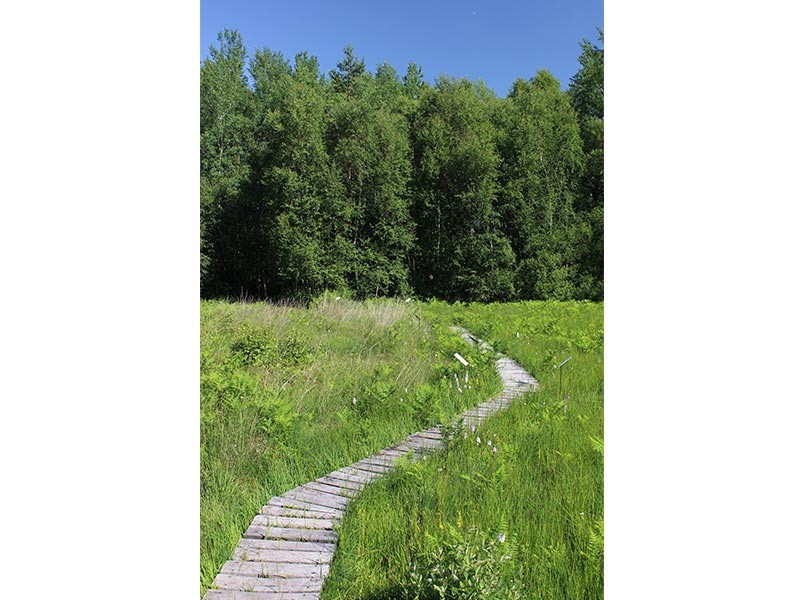 Les Petits Riaux | © JE Rubio