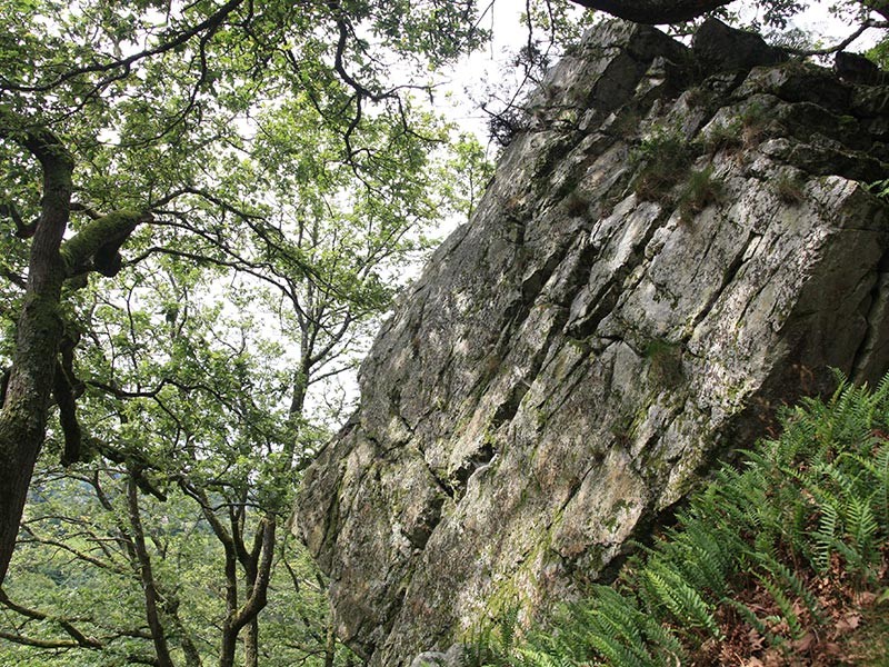 La Fosse Arthour | © CD 61